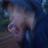gossip_RPGWAT's profile image
