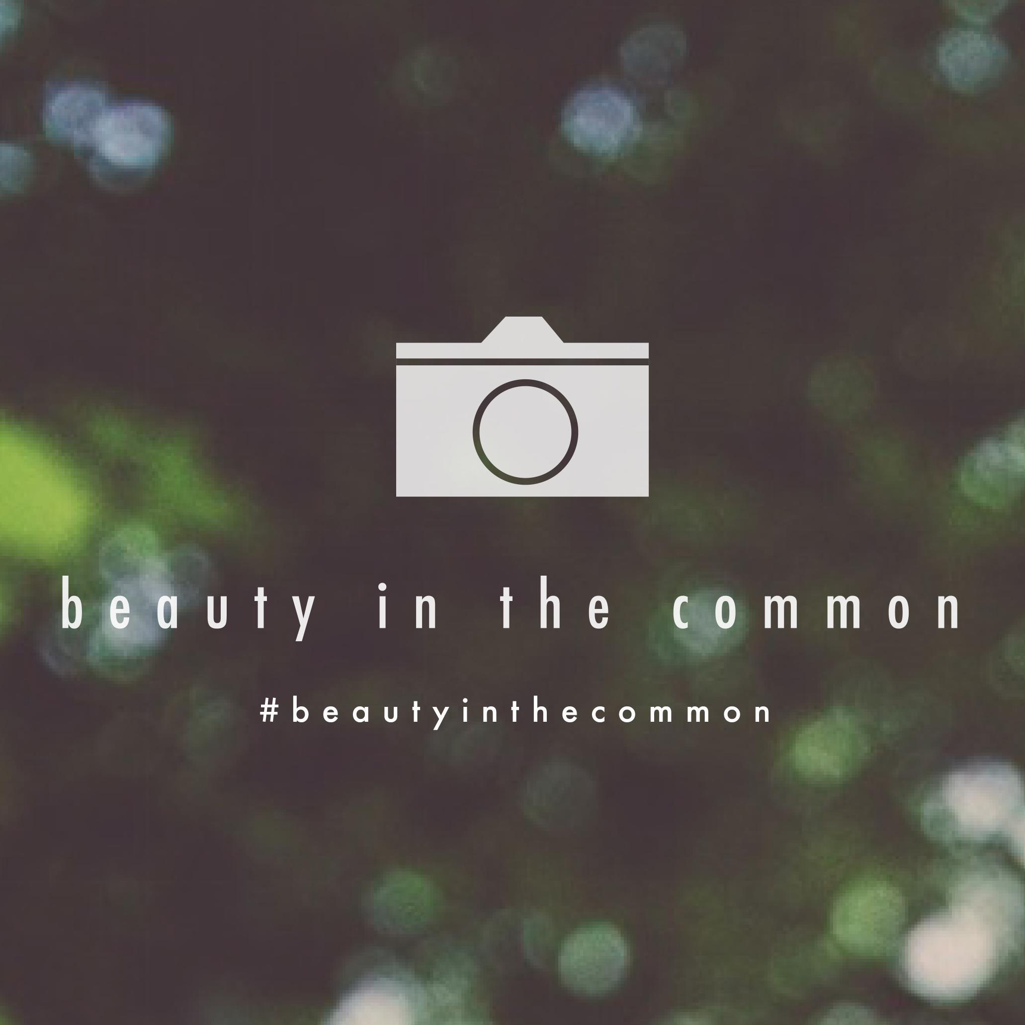 #beautyinthecommon https://t.co/pZmy9Iqfgk