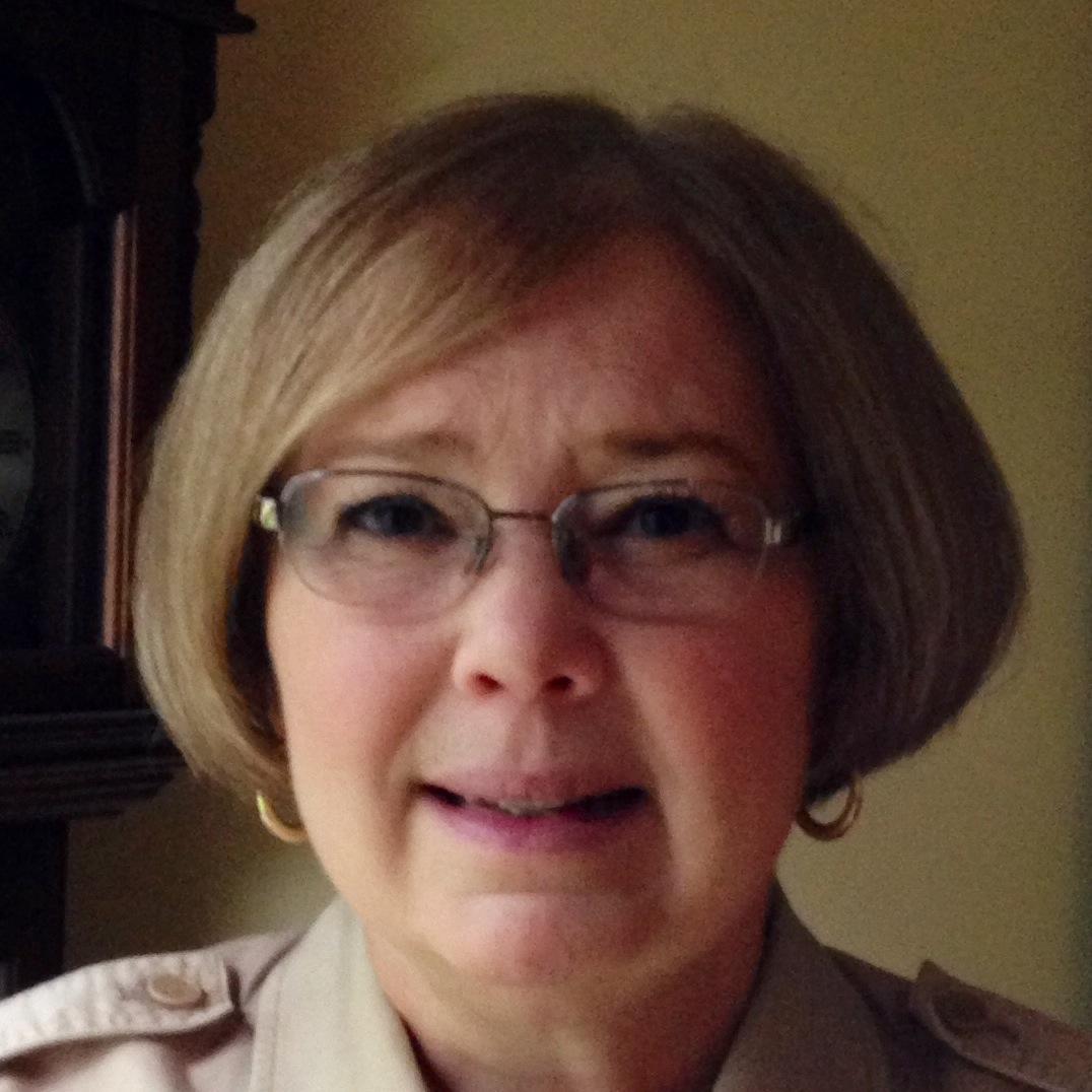 Elementary School Library Teacher