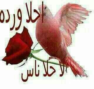 monir121221's profile picture. 