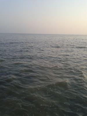 ♥Syrian♥