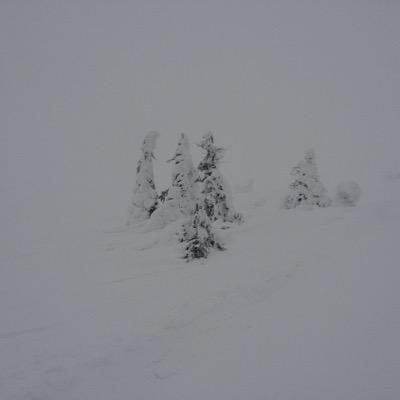 akshiromizu's profile picture. 