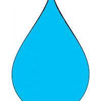 pasquale118's profile picture. 