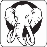 Custom Software Development; Technology Geeks & Media Enthusiasts