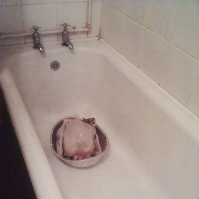 beatyswallocks1's profile picture. I hit things.