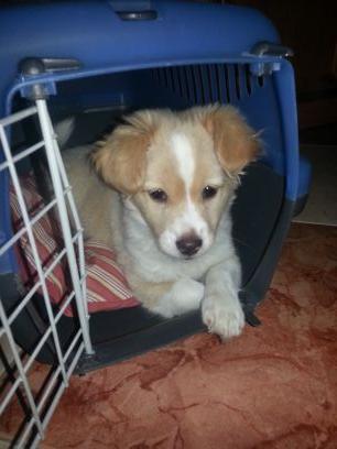 cumstanz's profile picture. 