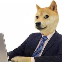 Jr. Tech Recruiter (@codersplzaccept) 's Twitter Profile