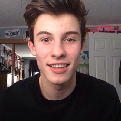 FOLLOW @mendesuniverse AND @mendesanthem THEY CAN HELP YOU WITH FOLLOWS :)