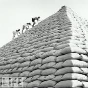 AgribusinessNig's profile picture. Tweets from the 1st Agribusiness Directory and Information portal in Nigeria:  http://t.co/5guqIAPsX4