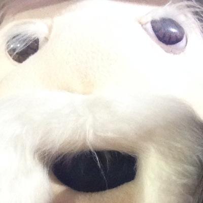 CHANGETHEDATE_'s profile picture. Date changed to May 16th