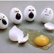 Emergency Egg (@eliascruz2015) 's Twitter Profile