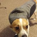 Nicholas DeWitt - @ndewitt2003 - Twitter