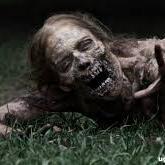#TheWalkingDead isn't just a part of my life, it is my life ♥ Can you survive when the world has turned to shit? #TWDFamily