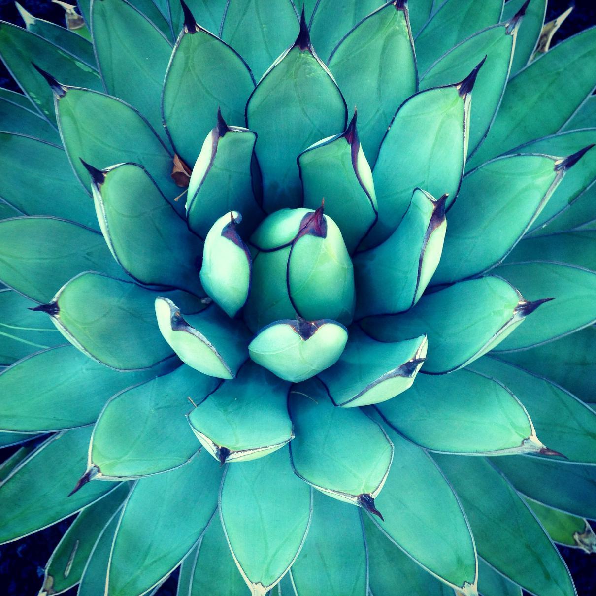 cafetranquilo's profile picture. 