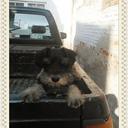 Jose Cabanas - @josecruzcabanas - Twitter