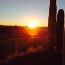 Pam Munro - @PamMunro5 - Twitter