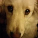 Tammy Eagle Bull - @T0611ar - Twitter