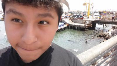 ArtuQuarks's profile picture. 