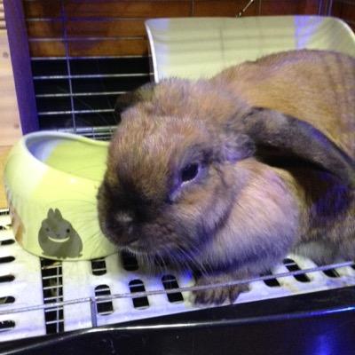 nkai1128's profile picture. 