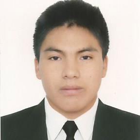LUIS11121995's profile image