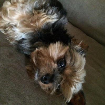 kychick01's profile picture. 