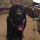 bill ewing - @bewing9 - Twitter