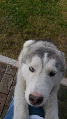 bdc7edda6be24da's profile picture. 