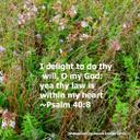 Tamara Holbrook - @TamaraJdholbro1 - Twitter