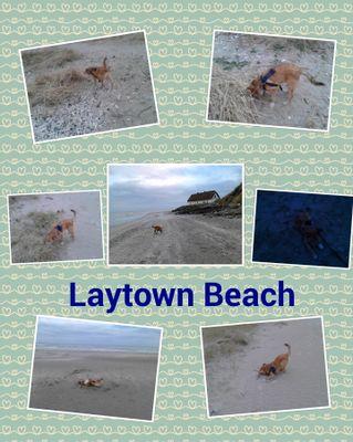 leslieT1711's profile picture. 