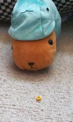 utidahayato's profile picture. 