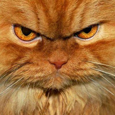 2b869272706d493's profile picture. COMPASSION AND SINCERITY