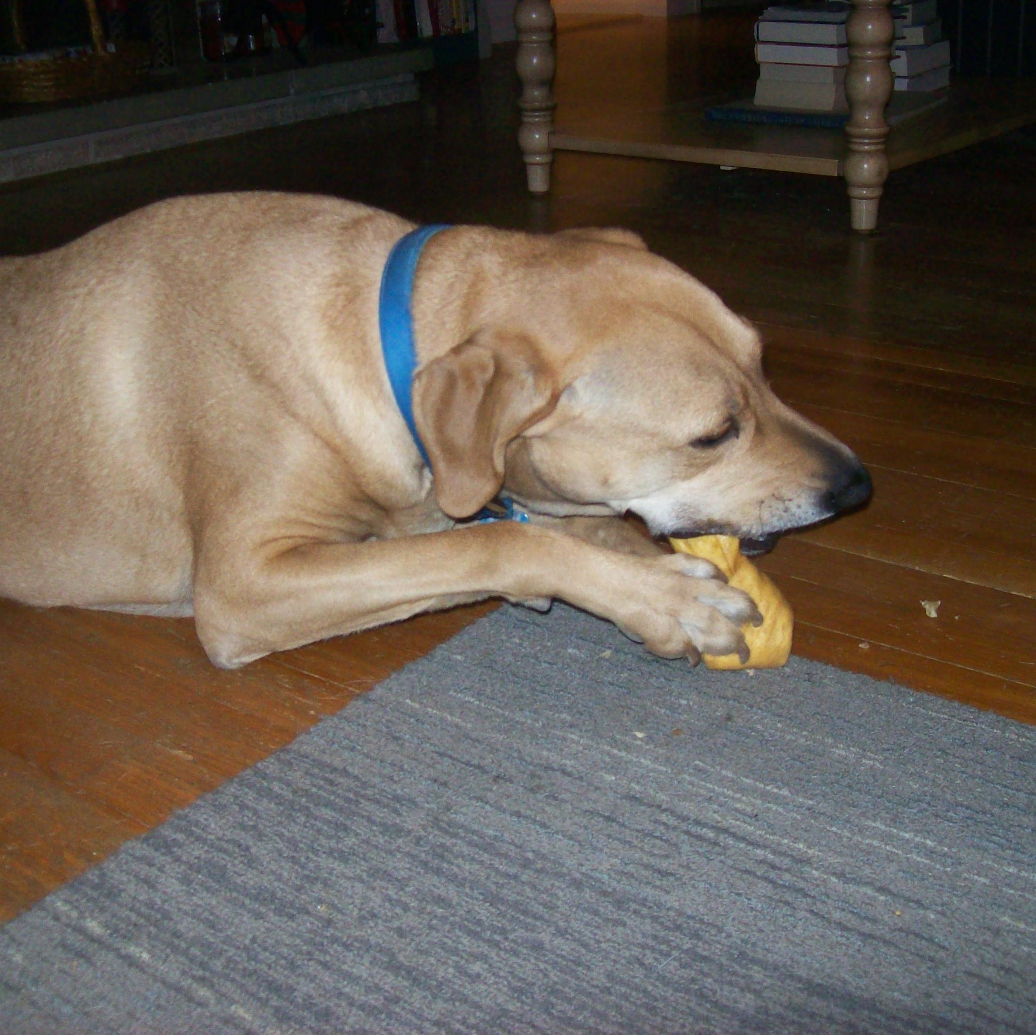 laurazeman1964's profile picture. 