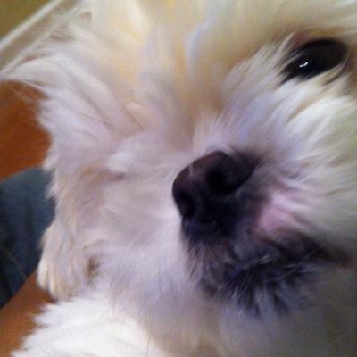 Phillip67721499's profile picture. 