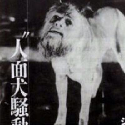 human dog is a party