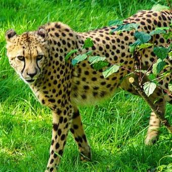 Learningzone247's profile picture. All about #learning #education #homeschool and #fun.