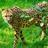 Learningzone247's profile image