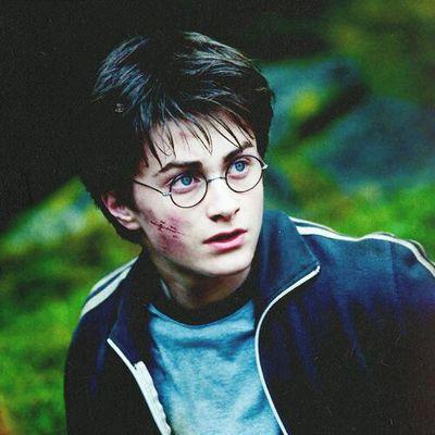 Página dedicada aos Fãs da maior saga, Harry Potter! Siga nossa página também no Instagram @omgworldpotter