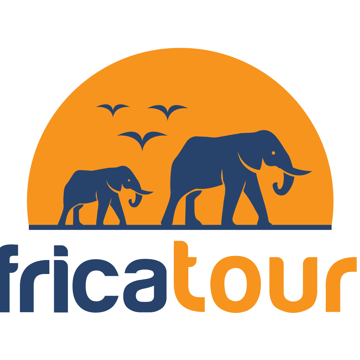 Africa Tours