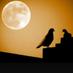 شــهد (@shahadm66) Twitter profile photo شــهد (@shahadm66) Twitter profile photo