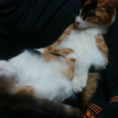 Exis121's profile picture. 趣味アカ 見る専です👀 本垢はこちら→【@temperature1121】←フォロー宜しくお願いします✨ カラオケ 動物 テニス お笑い かわいいもの カメラが趣味¨̮✯https://t.co/4uilukB7iP