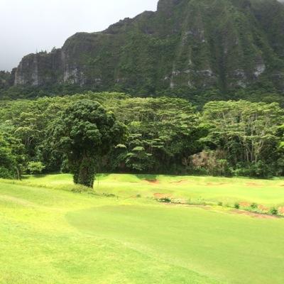 r_miller_JCB's profile picture. 