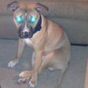 BuggsySiegal - @Willie_Buggs - Twitter