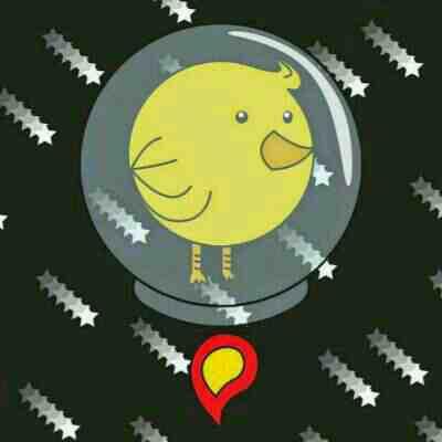 Just a chicken in space!
