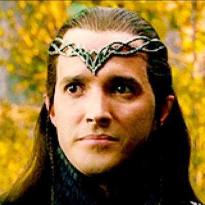 Serving Lord Elrond. Although dwarves were not in the job description. #ConfessionsByLindir #LurkingLindir