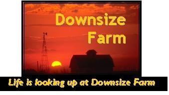 Life is looking up at Downsize Farm!