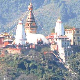 bhimsen93's profile picture. I am a graphic designer.