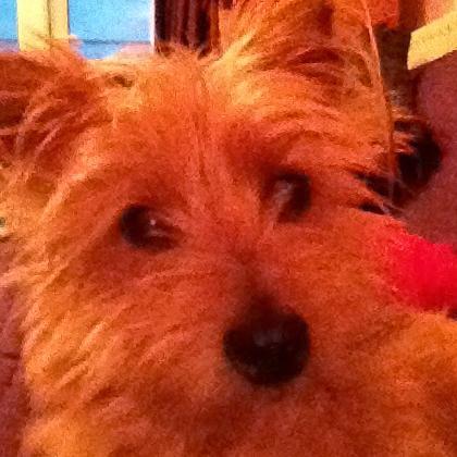 deneaze66's profile picture. 