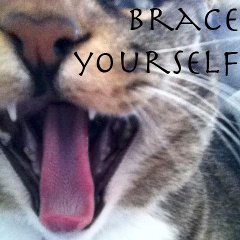 wallofcats's profile picture. Just another freakin' cat site.... #JoinTheCatnipRevolution #TheWallofCats #Cats #Meow