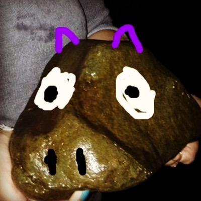 I'm just a hippo trying to make my way through this rocky world. always stoned, got rock hard abs
