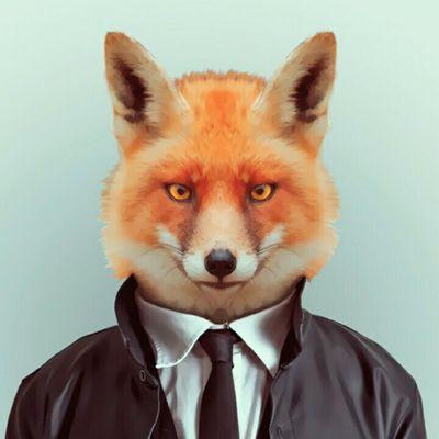 FRenard72's profile picture. 